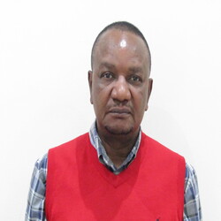 Committee member 1